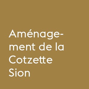 Création des structures métalliques du nouvel espace public de la Cotzette, en collaboration avec l’entreprise Michelet paysagistes et la Ville de Sion, dans le cadre du projet Acclimatasion