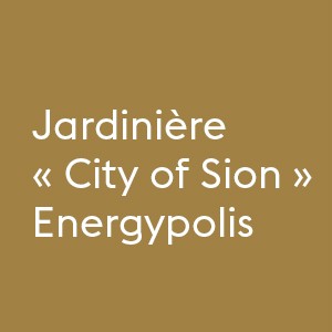 Jardinières pour le campus de l’EPFL, Rue de l’Industrie, en collaboration avec la Ville de Sion et Belandscape