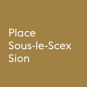 Plaques métalliques pour la place Sous-le-Scex, en collaboration avec l'Office cantonal d'Archéologie